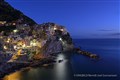 D137873-14 Manarola by night.jpg